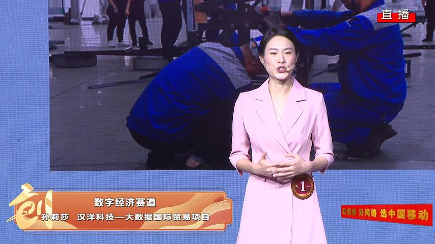 汉洋科技-大数据国际贸易项目