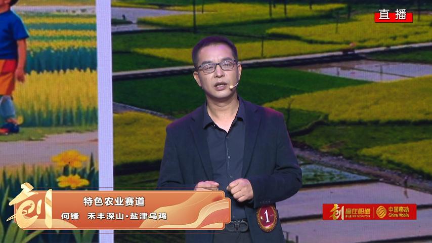 禾丰深山.盐津乌鸡